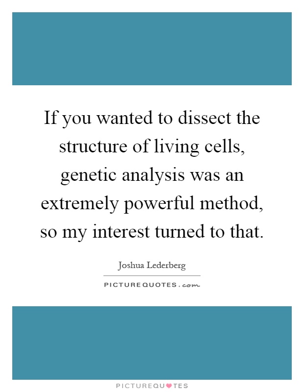 If you wanted to dissect the structure of living cells, genetic analysis was an extremely powerful method, so my interest turned to that Picture Quote #1