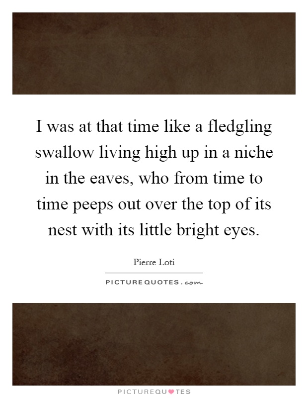 I was at that time like a fledgling swallow living high up in a niche in the eaves, who from time to time peeps out over the top of its nest with its little bright eyes Picture Quote #1