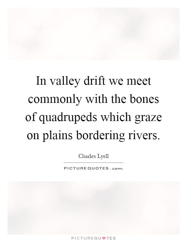 In valley drift we meet commonly with the bones of quadrupeds which graze on plains bordering rivers Picture Quote #1
