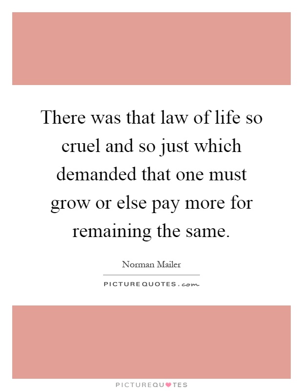 There was that law of life so cruel and so just which demanded that one must grow or else pay more for remaining the same Picture Quote #1