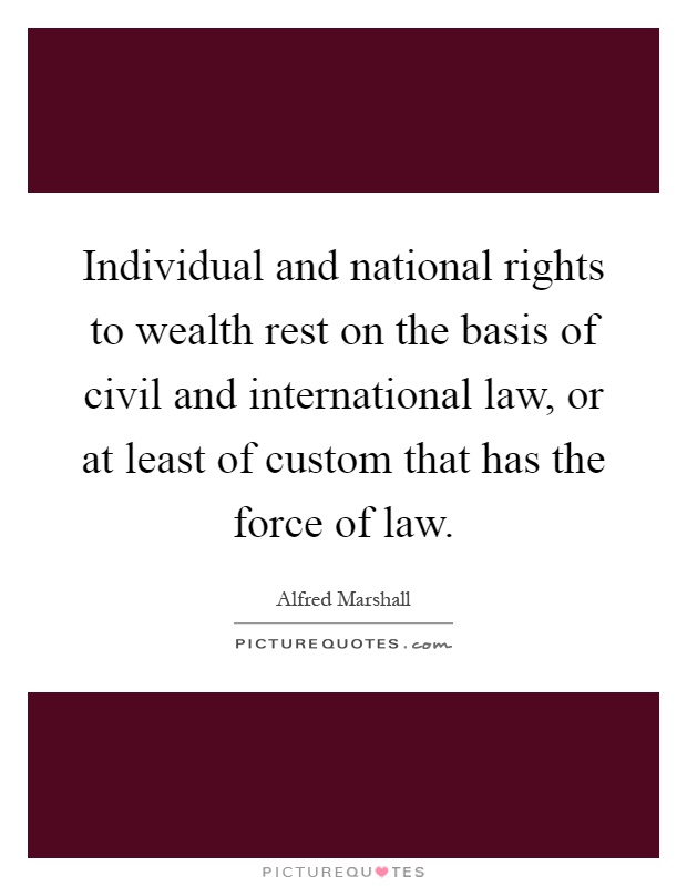 Individual and national rights to wealth rest on the basis of civil and international law, or at least of custom that has the force of law Picture Quote #1