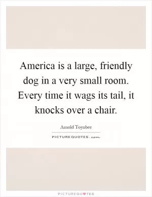 America is a large, friendly dog in a very small room. Every time it wags its tail, it knocks over a chair Picture Quote #1