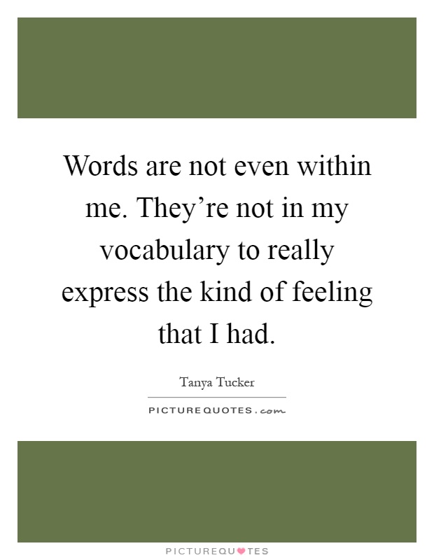 Words are not even within me. They're not in my vocabulary to really express the kind of feeling that I had Picture Quote #1