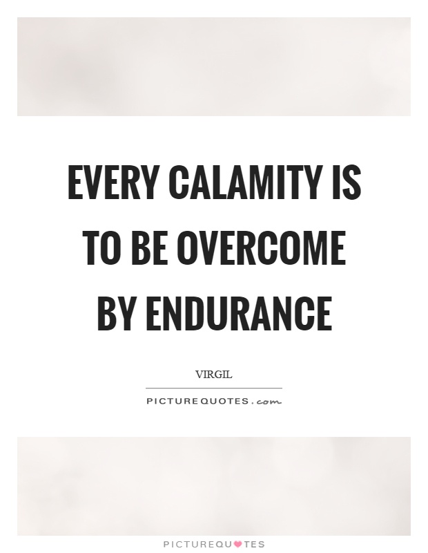 Every calamity is to be overcome by endurance Picture Quote #1