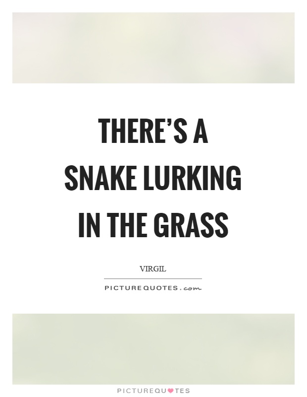 There's a snake lurking in the grass Picture Quote #1