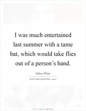 I was much entertained last summer with a tame bat, which would take flies out of a person’s hand Picture Quote #1