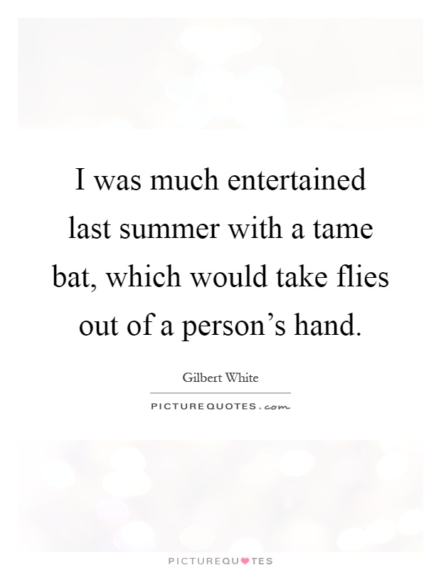 I was much entertained last summer with a tame bat, which would take flies out of a person's hand Picture Quote #1