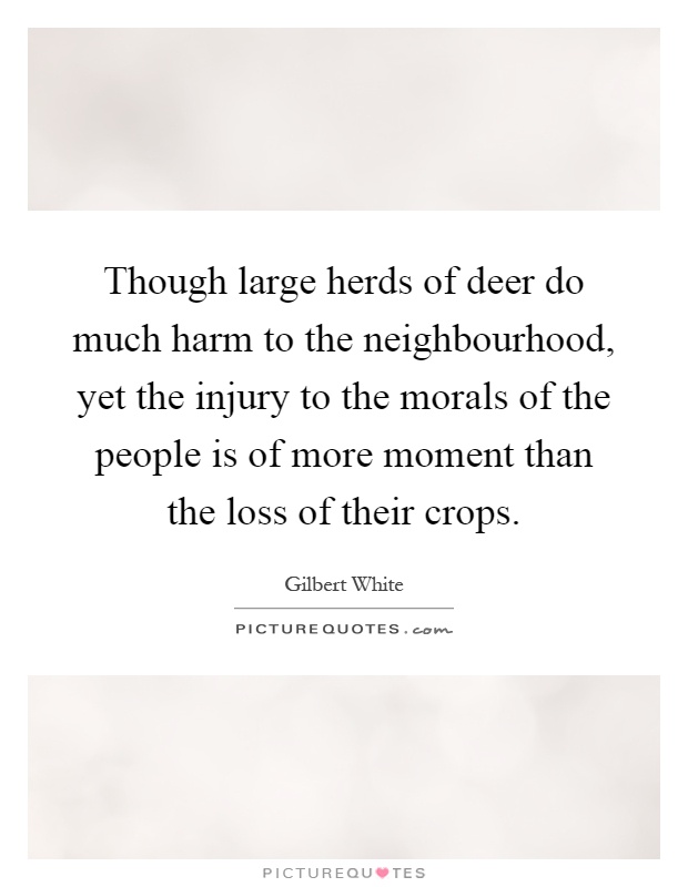 Though large herds of deer do much harm to the neighbourhood, yet the injury to the morals of the people is of more moment than the loss of their crops Picture Quote #1