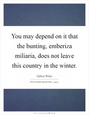 You may depend on it that the bunting, emberiza miliaria, does not leave this country in the winter Picture Quote #1