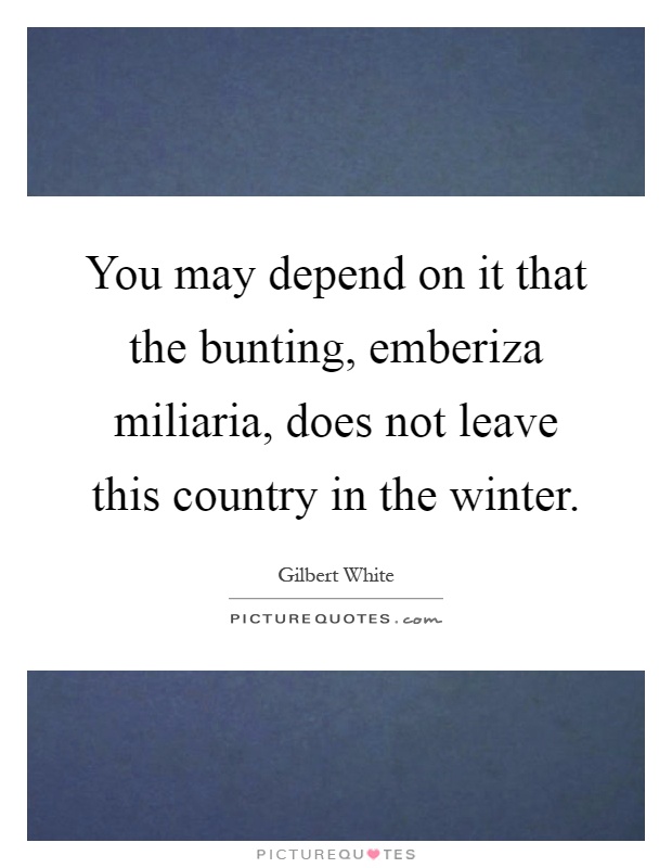 You may depend on it that the bunting, emberiza miliaria, does not leave this country in the winter Picture Quote #1