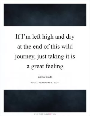 If I’m left high and dry at the end of this wild journey, just taking it is a great feeling Picture Quote #1