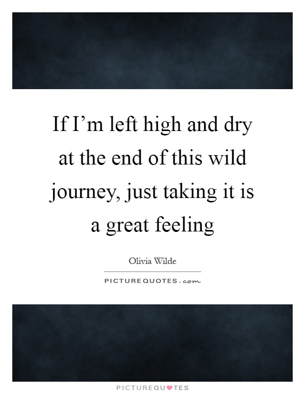 If I'm left high and dry at the end of this wild journey, just taking it is a great feeling Picture Quote #1