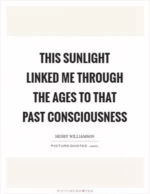 This sunlight linked me through the ages to that past consciousness Picture Quote #1