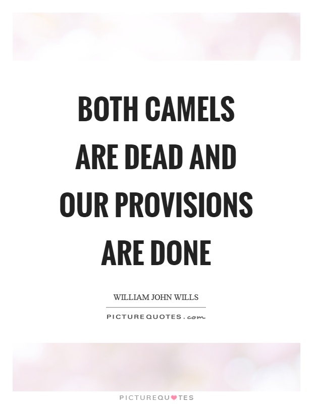 Both camels are dead and our provisions are done Picture Quote #1