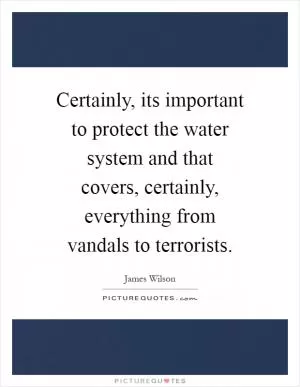 Certainly, its important to protect the water system and that covers, certainly, everything from vandals to terrorists Picture Quote #1