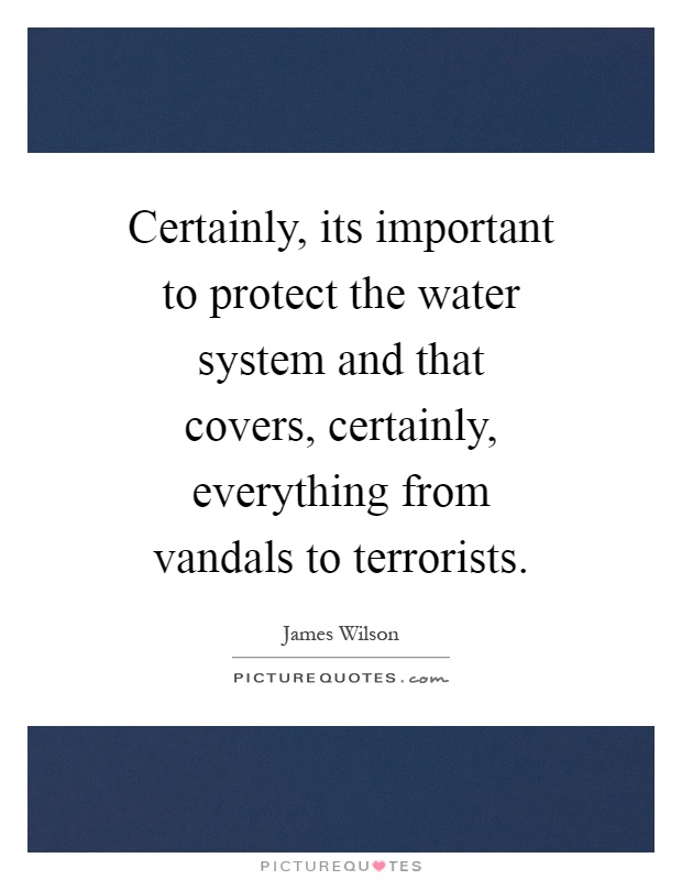 Certainly, its important to protect the water system and that covers, certainly, everything from vandals to terrorists Picture Quote #1