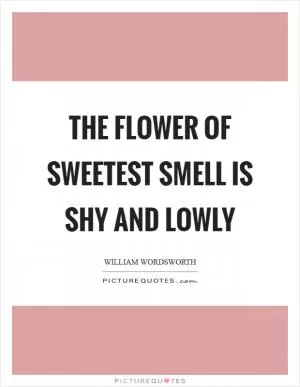 The flower of sweetest smell is shy and lowly Picture Quote #1