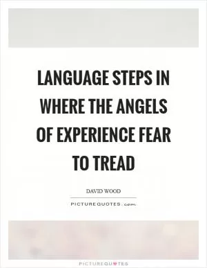Language steps in where the angels of experience fear to tread Picture Quote #1