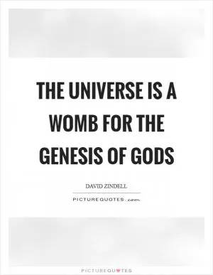 The universe is a womb for the genesis of gods Picture Quote #1