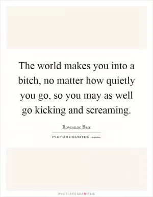 The world makes you into a bitch, no matter how quietly you go, so you may as well go kicking and screaming Picture Quote #1
