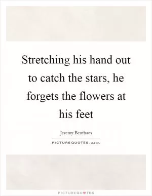 Stretching his hand out to catch the stars, he forgets the flowers at his feet Picture Quote #1