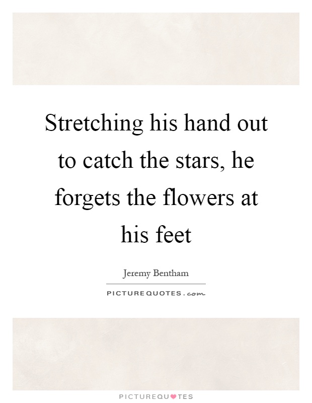 Stretching his hand out to catch the stars, he forgets the flowers at his feet Picture Quote #1