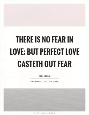 There is no fear in love; but perfect love casteth out fear Picture Quote #1