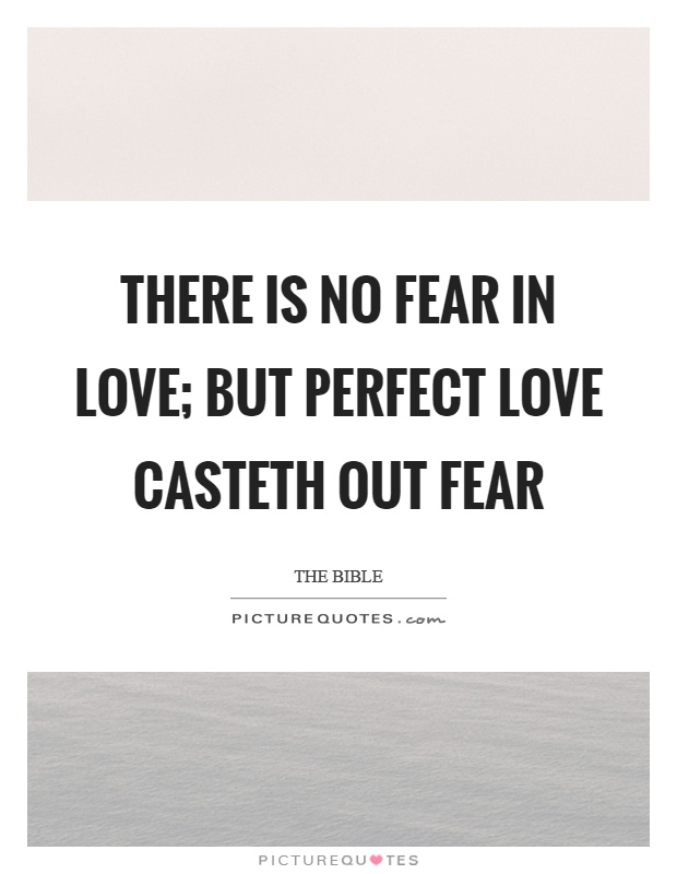 There is no fear in love; but perfect love casteth out fear Picture Quote #1