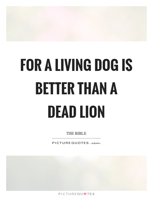 For a living dog is better than a dead lion Picture Quote #1