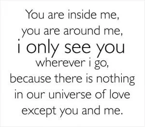You are inside me, you are around me, I only see you wherever I go, because there is nothing in our universe of love except you and me Picture Quote #1