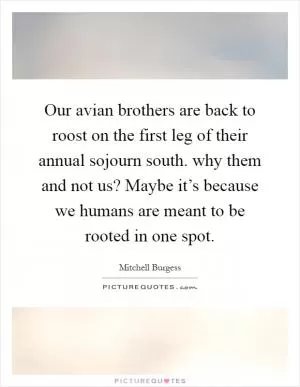 Our avian brothers are back to roost on the first leg of their annual sojourn south. why them and not us? Maybe it’s because we humans are meant to be rooted in one spot Picture Quote #1