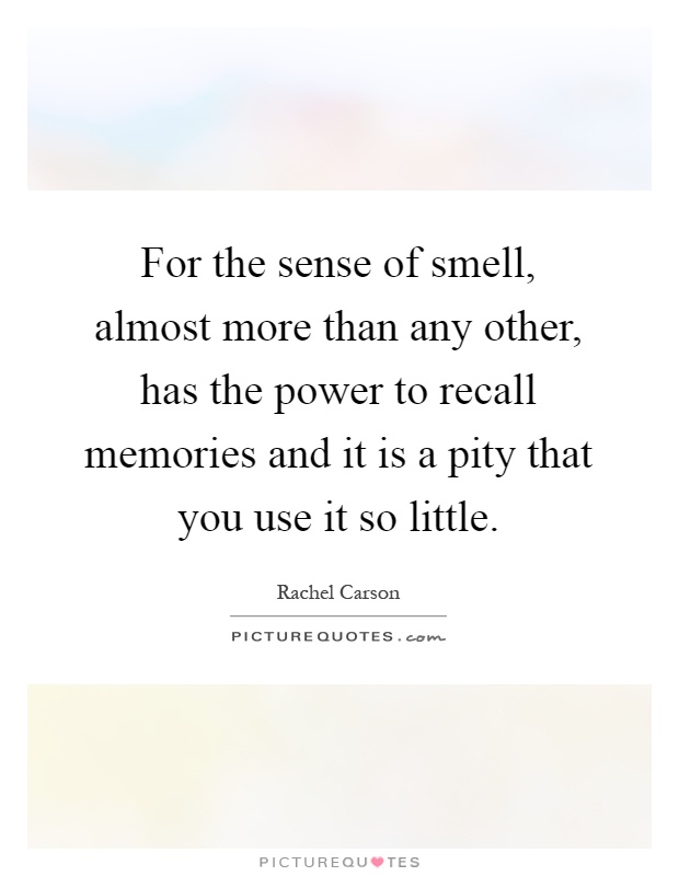 For the sense of smell, almost more than any other, has the power to recall memories and it is a pity that you use it so little Picture Quote #1