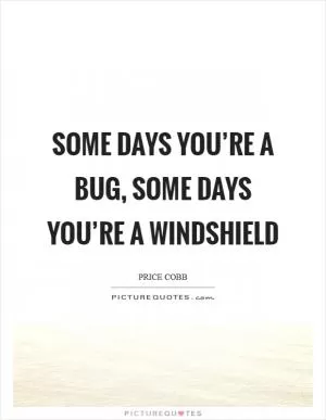 Some days you’re a bug, some days you’re a windshield Picture Quote #1