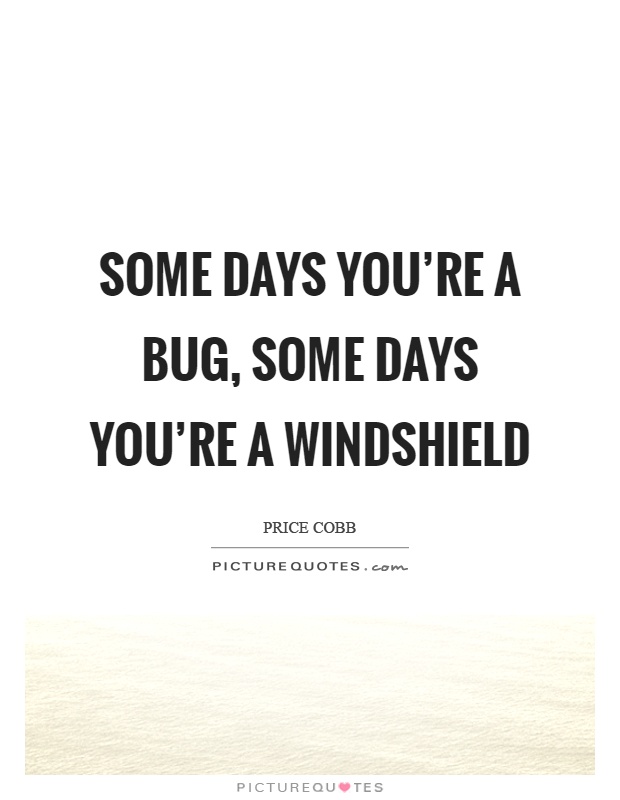 Some days you're a bug, some days you're a windshield Picture Quote #1