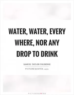 Water, water, every where, nor any drop to drink Picture Quote #1