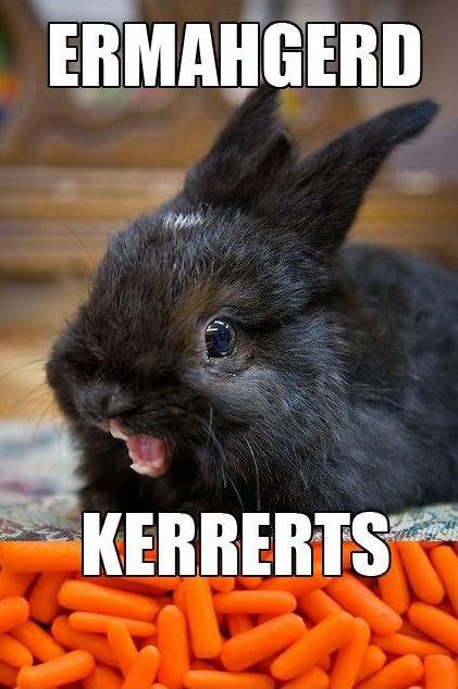 Ermahgerd kerrerts Picture Quote #1