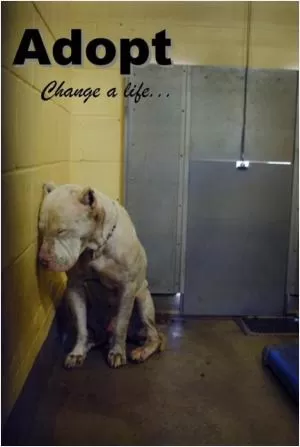 Adopt. Change a life Picture Quote #1