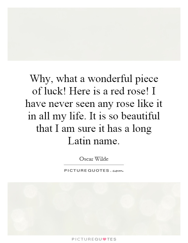 Why, what a wonderful piece of luck! Here is a red rose! I have never seen any rose like it in all my life. It is so beautiful that I am sure it has a long Latin name Picture Quote #1