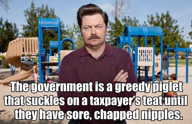 The government is a greedy piglet that suckles on a taxpayer's teat until they have sore, chapped nipples Picture Quote #1