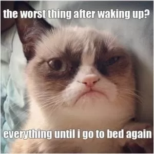 The worst thing after waking up? Everything until I go to bed again Picture Quote #1