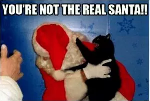 You're not the real Santa!! Picture Quote #1