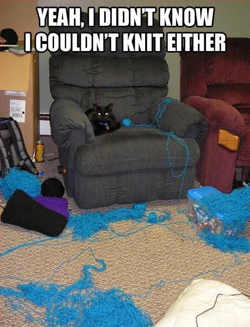 Yeah, I didn't know I couldn't knit either Picture Quote #1