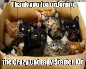 Thank you for ordering the crazy cat lady starter kit Picture Quote #1