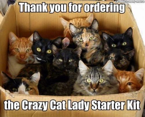Thank you for ordering the crazy cat lady starter kit Picture Quote #1
