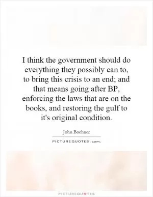 I think the government should do everything they possibly can to, to bring this crisis to an end; and that means going after BP, enforcing the laws that are on the books, and restoring the gulf to it's original condition Picture Quote #1