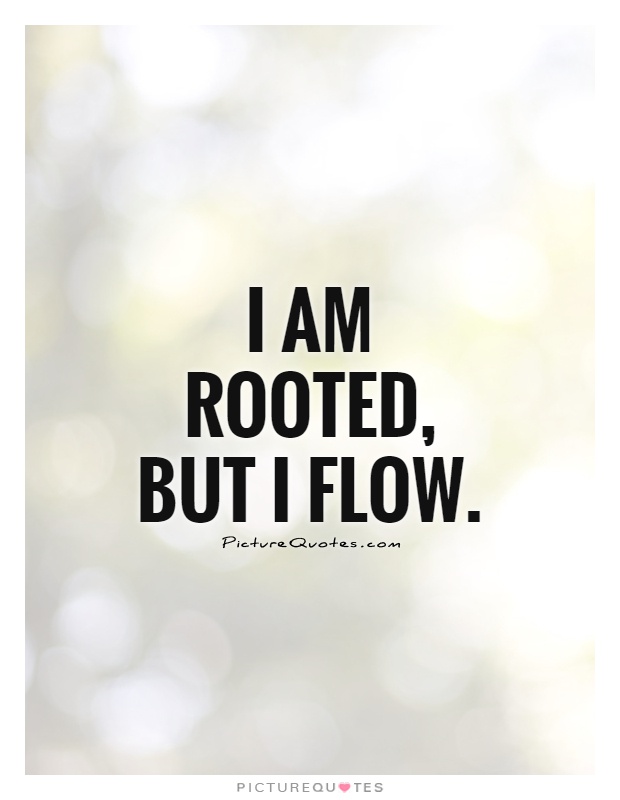 I am rooted. I am Rooted but i Flow перевод. Flow picture. Poster phrases.