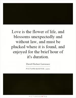 Love is the flower of life, and blossoms unexpectedly and without law, and must be plucked where it is found, and enjoyed for the brief hour of it's duration Picture Quote #1