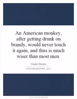 An American monkey, after getting drunk on brandy, would never touch it again, and thus is much wiser than most men Picture Quote #1