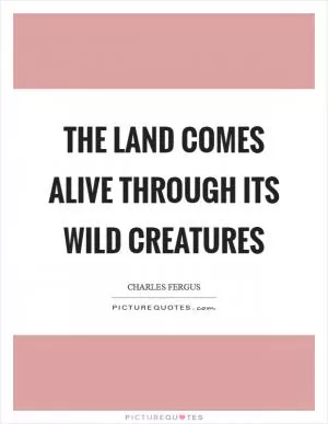 The land comes alive through its wild creatures Picture Quote #1