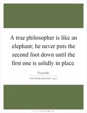 A true philosopher is like an elephant; he never puts the second foot down until the first one is solidly in place Picture Quote #1